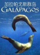 BBC：加拉帕戈斯群島