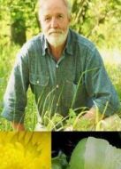 BBC：微小不列顛劇情介紹(1-1全集)