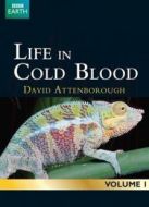 BBC：冷血生命劇情介紹(1-5全集)