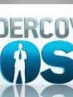 臥底大老板第一季