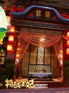 特戰(zhàn)王妃劇情介紹(1-20全集)