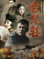 臺兒莊劇情介紹(1-33全集)