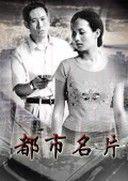 都市名片劇情介紹(1-20全集)