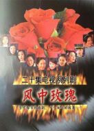風(fēng)中玫瑰劇情介紹(1-20全集)