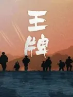 英雄歲月之王牌部隊(duì)劇情介紹(1-40全集)