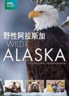 BBC：野性阿拉斯加海報(bào)