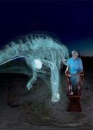 BBC：愛登堡和巨型恐龍