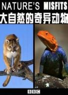 BBC：大自然的奇異動物