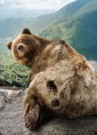 野性巴爾干群島劇情介紹(1-1全集)