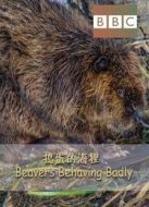 BBC：搗蛋的海貍劇情介紹(1-1全集)