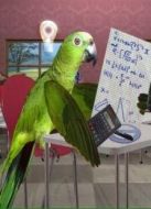 BBC：非凡動(dòng)物第二季劇情介紹(1-10全集)