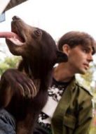 BBC:早安加里曼丹劇情介紹(1-6全集)