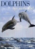 BBC：臥底海豚幫劇情介紹(1-2全集)