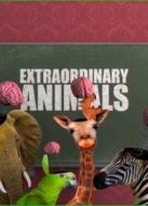 BBC：非凡動(dòng)物第一季