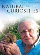 BBC：大衛(wèi)·愛登堡的自然奇趣