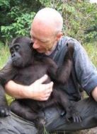 BBC：再次探訪猩猩劇情介紹(1-1全集)