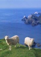 BBC：西蒙·金的設得蘭島日記劇情介紹(1-3全集)