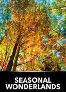 BBC：變化的世界