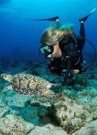 BBC：潛入加勒比