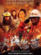 火線出擊下劇情介紹(1-21全集)