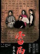 雷雨劇情介紹(1-20全集)