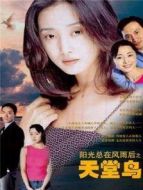 陽(yáng)光總在風(fēng)雨后Ⅰ天堂鳥(niǎo)