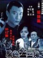 為了這一片凈土劇情介紹(1-18全集)