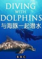 BBC：與海豚一起潛水劇情介紹(1-1全集)