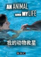 BBC：我的動物救星劇情介紹(1-6全集)