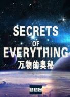 BBC：萬物的奧秘