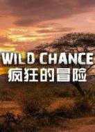 BBC：瘋狂的冒險劇情介紹(1-3全集)