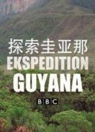 BBC：探索圭亞那
