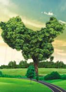 綠色崛起的中國(guó)海報(bào)