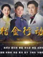 獵金行動劇情介紹(1-46全集)