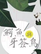 鱷魚與牙簽鳥DVD版海報