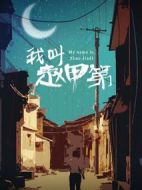 我叫趙甲第劇情介紹(1-30全集)