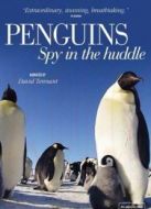 BBC：企鵝間諜劇情介紹(1-3全集)