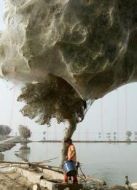 BBC：自然界怪奇事件 第二季