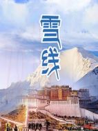 雪線劇情介紹(1-36全集)