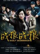 戰(zhàn)狼·戰(zhàn)狼劇情介紹(1-50全集)