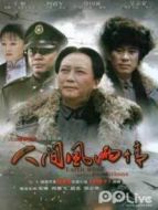 人間風(fēng)雨情DVD海報(bào)