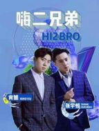 嗨二兄弟劇情介紹(1-100全集)