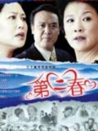 第二春劇情介紹(1-28全集)