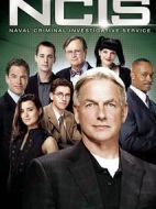 海軍罪案調(diào)查處第八季