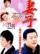 妻子劇情介紹(1-26全集)
