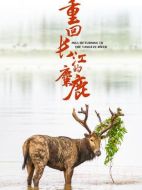 重回長(zhǎng)江的麋鹿海報(bào)