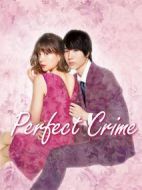 完美犯罪劇情介紹(1-10全集)