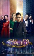 愛(ài)情CEO劇情介紹(1-14全集)