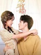 邢少，小助理又搞事情了劇情介紹(1-26全集)