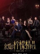 親愛的檸檬精先生2劇情介紹(1-30全集)